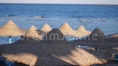 埃及，海滩与伞在红海附近的珊瑚礁。 红海海岸度假村.. 落基海滩在海湾。 海岸线